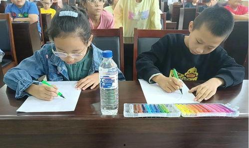 宁波小学爆料事件最新,揭开校园安全与管理的隐秘面纱