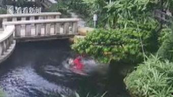 鱼塘爆料大全视频最新,揭秘娱乐圈最新热点事件