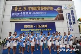 碧桂园最新爆料新闻,揭秘项目进展与市场动态