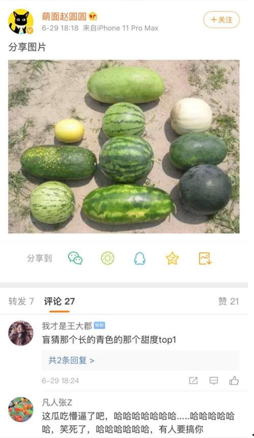 新瓜最新爆料在哪里看,独家渠道带你直击最新热点