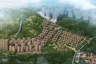 郑州碧桂园爆料最新消息,揭秘项目进展与未来规划