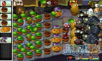 植物大僵尸最新爆料,神秘新爆料揭秘，全新冒险篇章即将开启！